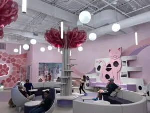 Interior of Pink Paws Cat Cafe with pink and purple decor and large cat-themed wall art.